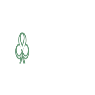 Dublinbet